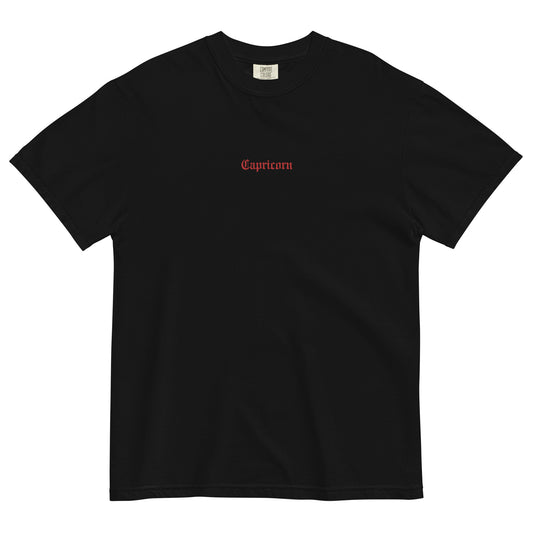 Capricorn Embroidered heavyweight t-shirt