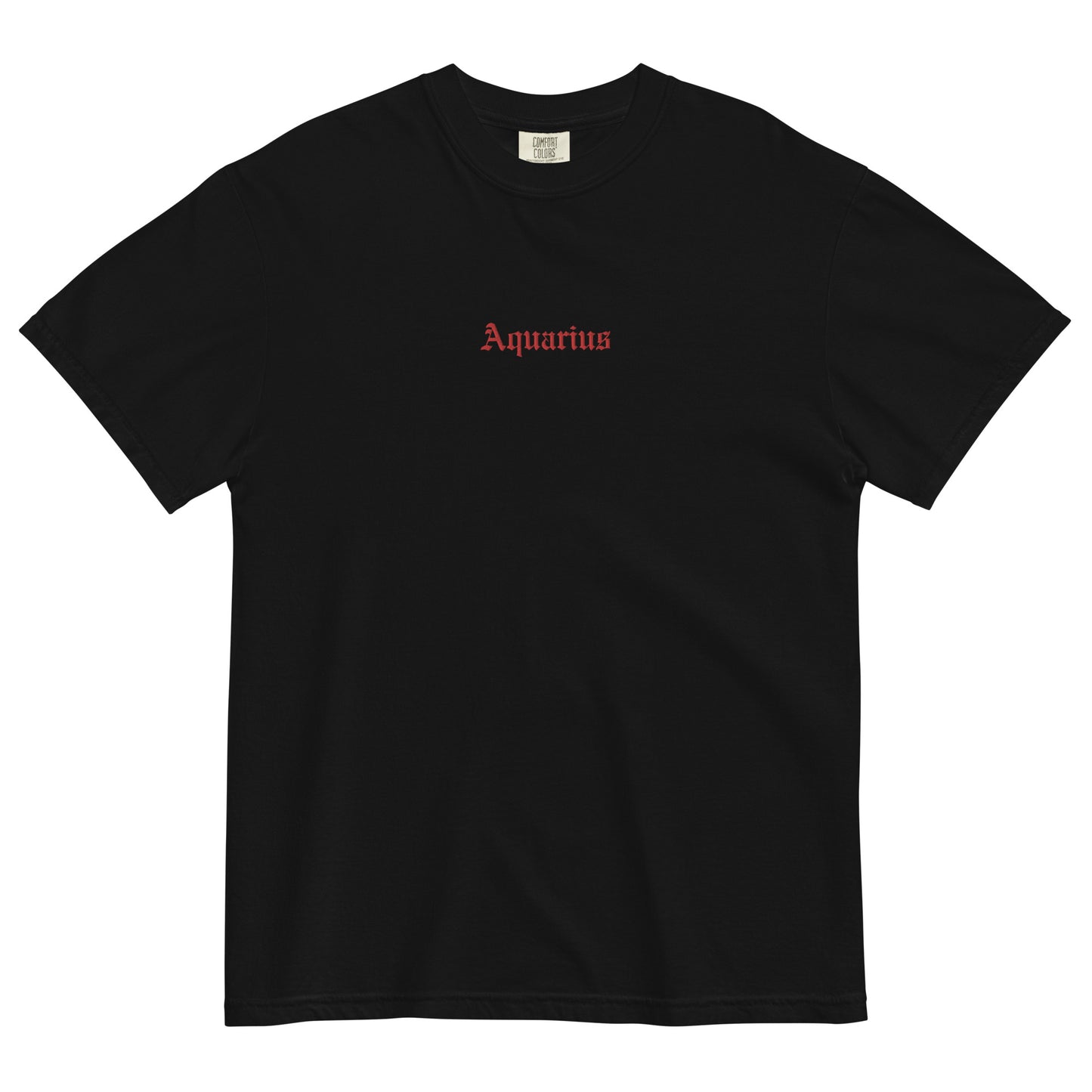 Aquarius Embroidered Heavyweight T-shirt