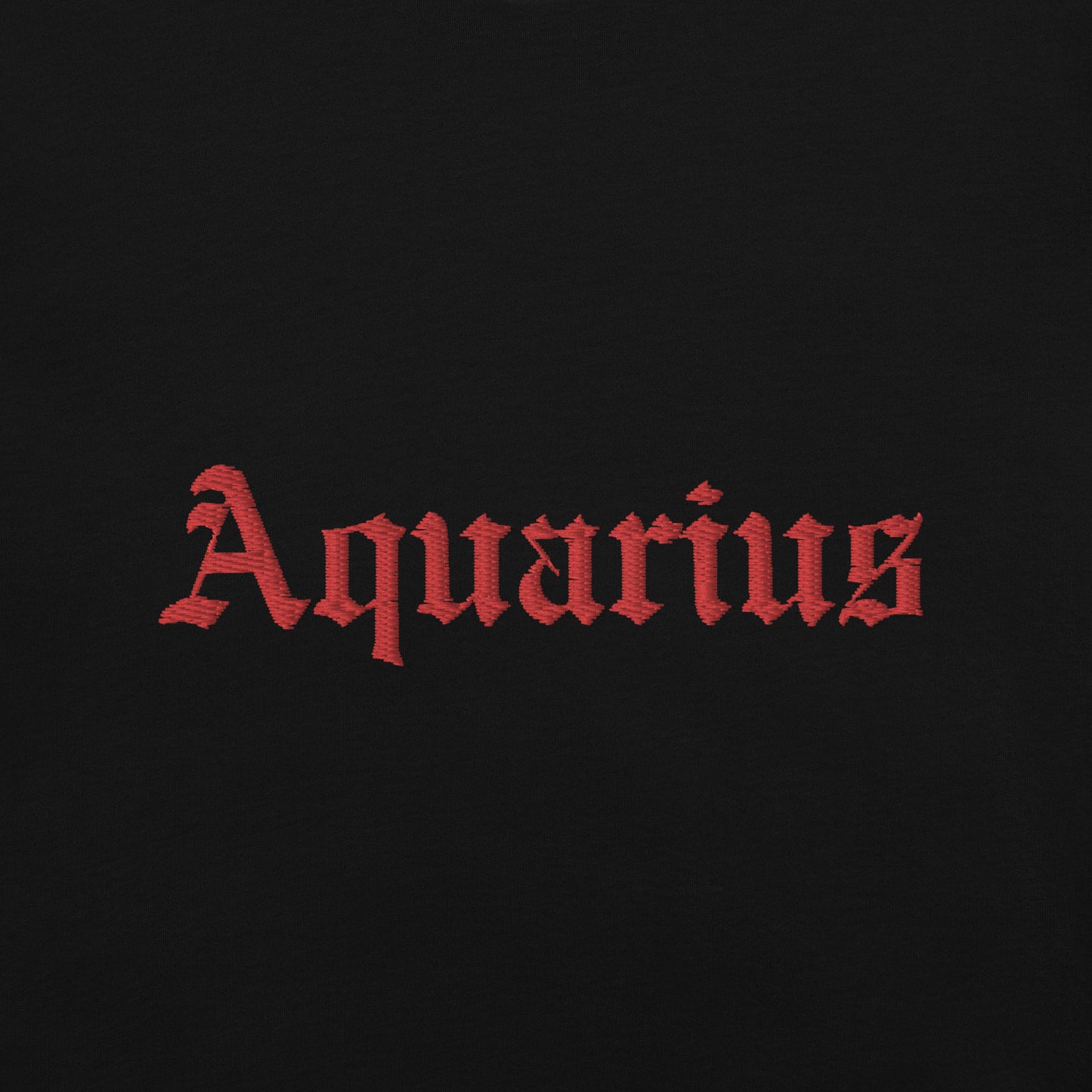 Aquarius Embroidered Heavyweight T-shirt