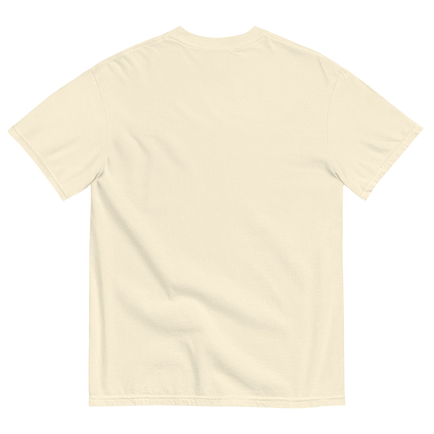 Cancer Embroidered heavyweight t-shirt