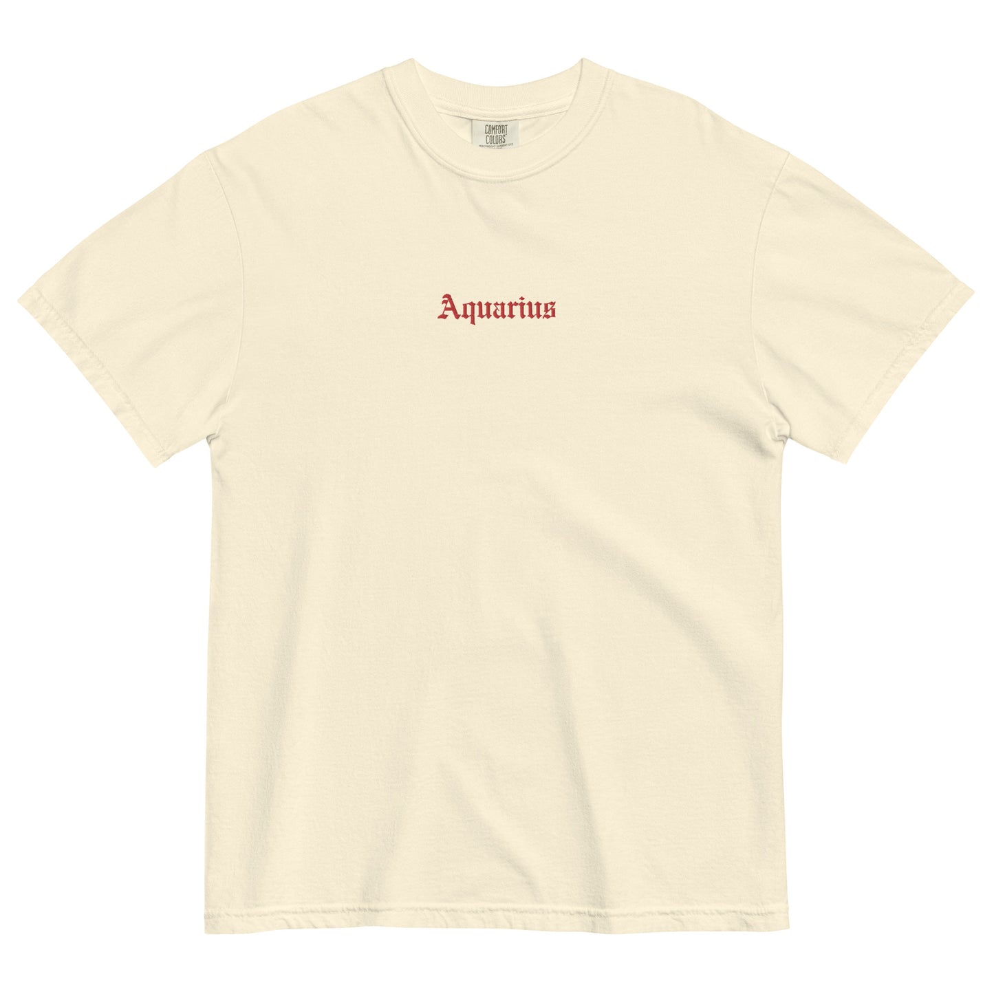 Aquarius Embroidered Heavyweight T-shirt