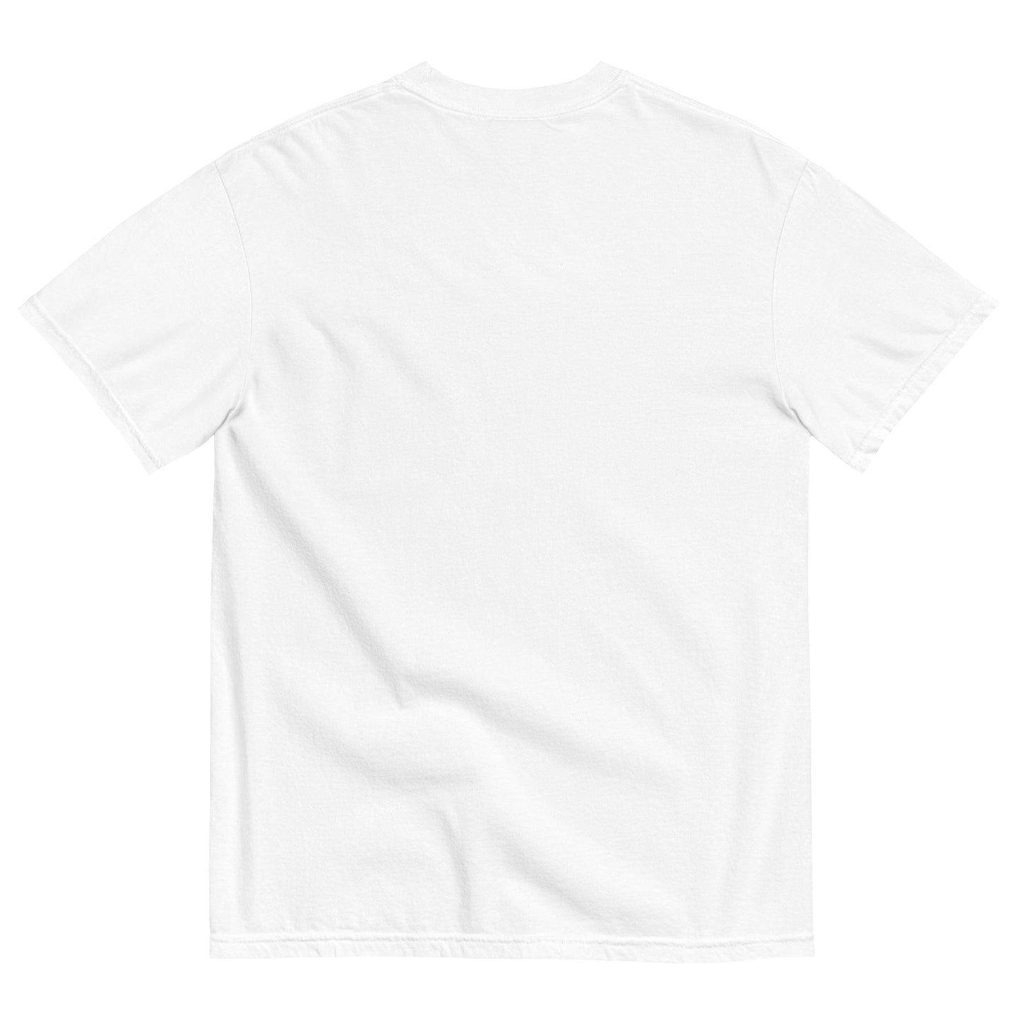 Cancer Embroidered heavyweight t-shirt