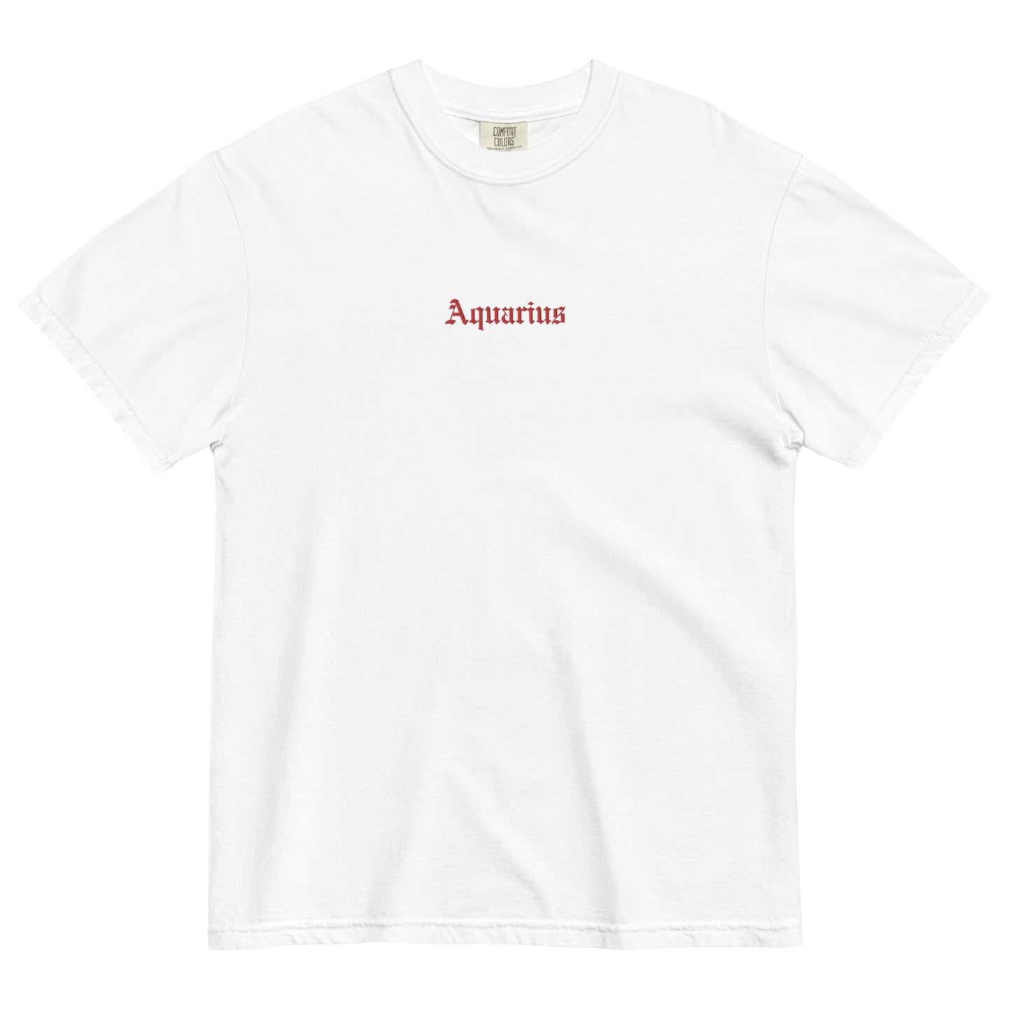 Aquarius Embroidered Heavyweight T-shirt